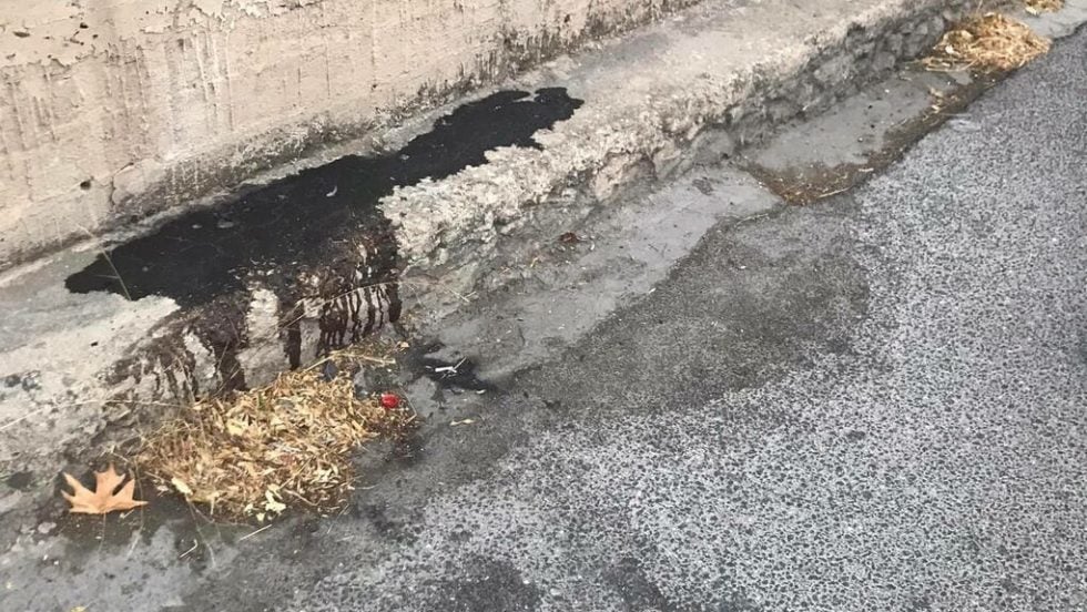 Σιράζ Σαφτάρ